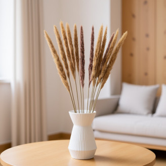 Mini pampa dried - 15 Units - Natural