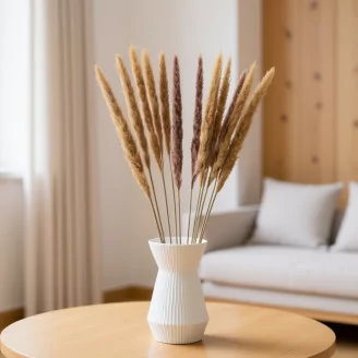 Mini pampa essiccata Naturale (x15)
