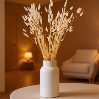 Lagurus Ovatus s&eacute;ch&eacute; - Bouquet - Meringue
