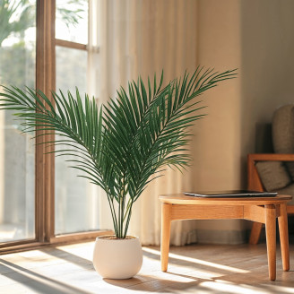 Palme de Phoenix stabilisée - Vert