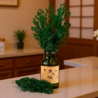 Ming Fern stabilis&eacute; Vert