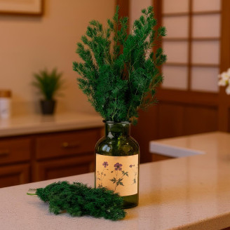 Ming Fern stabilizzata - Verde