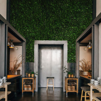 Ivy Stabilized - Green