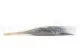 Dried Barba Blue 7