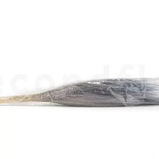 Dried Barba Blue