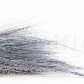 Barba séché - Bouquet - Violet