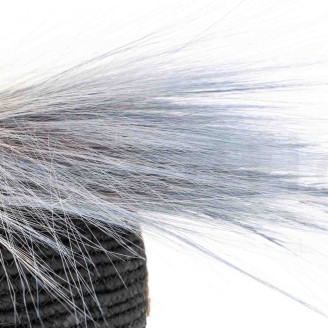 Dried Barba - Bouquet - Blue