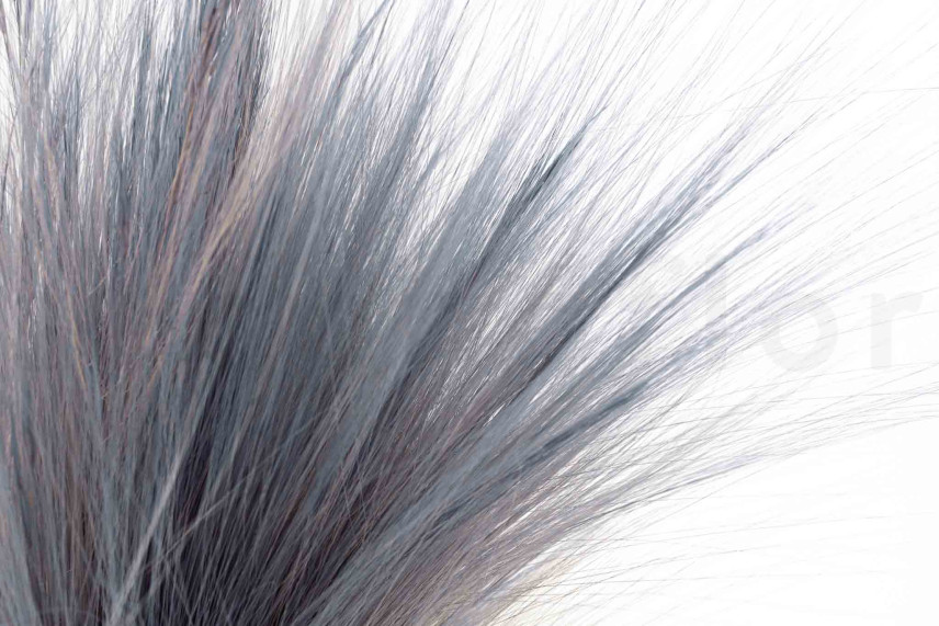 Dried Barba - Bouquet - Blue