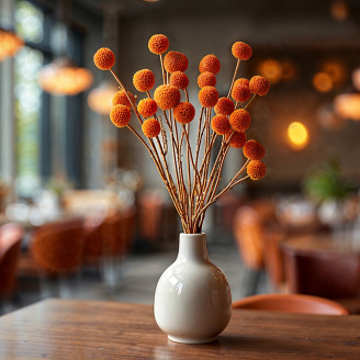 Craspedia Stabilis&eacute; - Bouquet - Marmalade