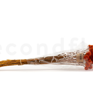 Craspedia Stabilis&eacute; - Bouquet - Marmalade