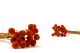 Preserved Billy Button Marmalade 10