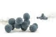 Craspedia preservada Storm Blue 2