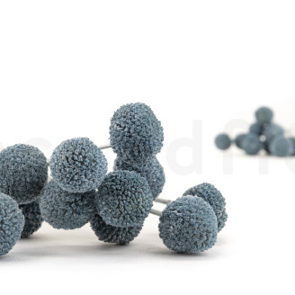 Billy Buttons Preserved - Bouquet - Storm Blue