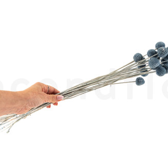 Craspedia Stabilis&eacute; - Bouquet - Storm Blue