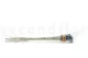 Craspedia preservada Storm Blue 10