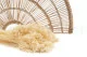 Broom stabilizzato Meringa 3