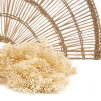 Broom stabilis&eacute; Meringue