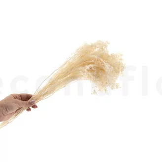 Broom stabilis&eacute; Meringue