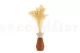 Broom stabilis&eacute; Meringue 6
