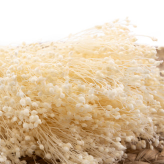 Broom Stabilis&eacute; - Meringue