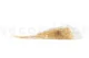 Broom stabilizzato Meringa 10