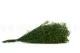 Broom stabilis&eacute; Vert et Jaune 9
