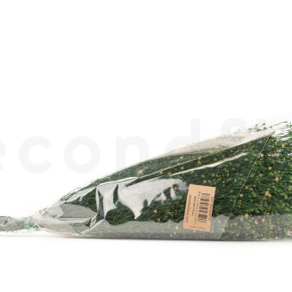 Stabilized Broom flower - Green