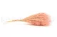 Broom stabilizzato Rosa Pastello 4