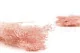 Broom stabilis&eacute; Rose Pastel 2