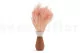 Konservierter Broom Pastellrosa 8