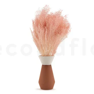 Broom stabilis&eacute; Rose Pastel