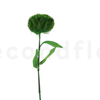Green Wicky avec tige stabilisé - 1 Unité - Vert