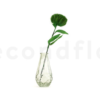 Green Wicky avec tige stabilisé - 1 Unité - Vert
