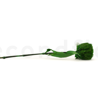 Green Wicky avec tige stabilisé - 1 Unité - Vert