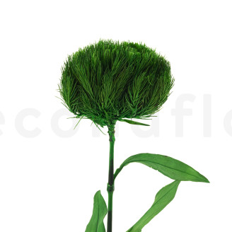 Green wicky on stem Stabilized - 1 Unit - Green