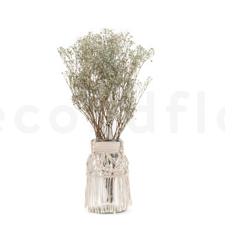 Gipsofila Preservada - Pastel Blue