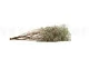 Preserved Gypsophila Pastel Blue 5