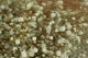 Preserved Gypsophila Pastel Blue 2