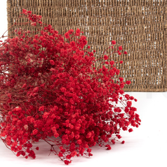 Gipsofila Preservada - Roja