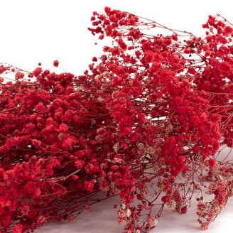 Gypsophila Preservata - Rosso