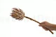 Preserved Protea Cynaroides Cream 3