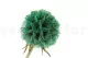 Scabiosa stellata preservada Turquesa (x10) 2
