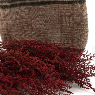 Stoebe stabilisé - Bouquet - Rouge