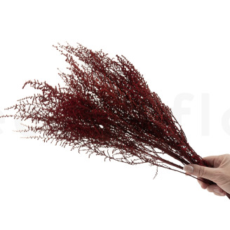 Stoebe stabilisé - Bouquet - Rouge