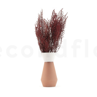 Stoebe stabilisé - Bouquet - Rouge