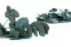 Preserved Cinerea Eucalyptus Green Blue 6