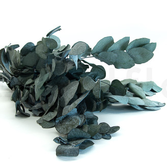 Eucalyptus Cinerea Stabilized - Green-Blue