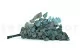Eucalyptus Cinerea stabilis&eacute; Vert-Bleu 10