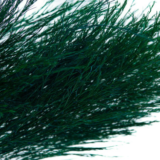 Tree Fern Stabilisé - Vert Foncé