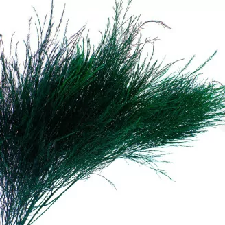 Preserved Tree Fern Dark Green